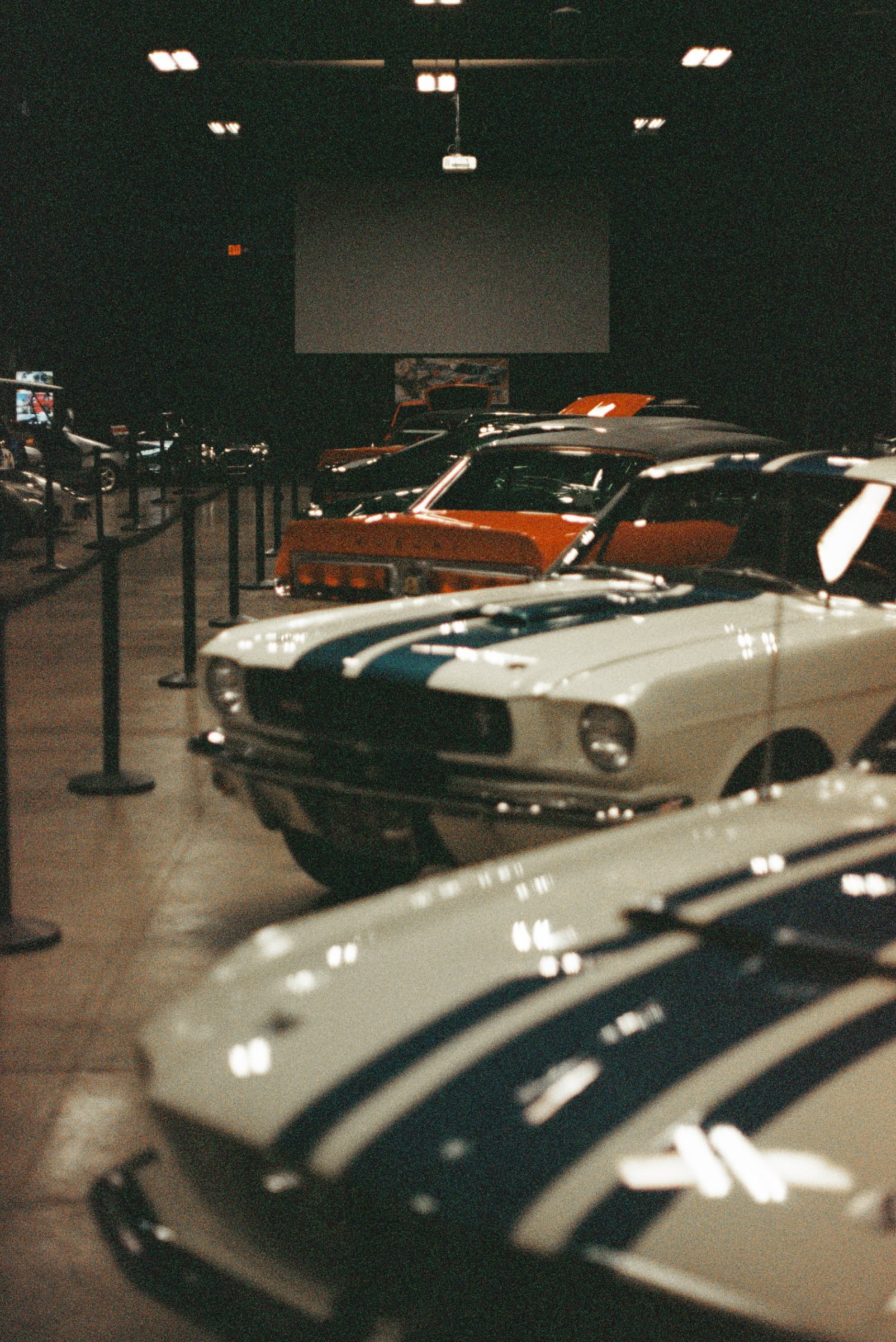 Stangs