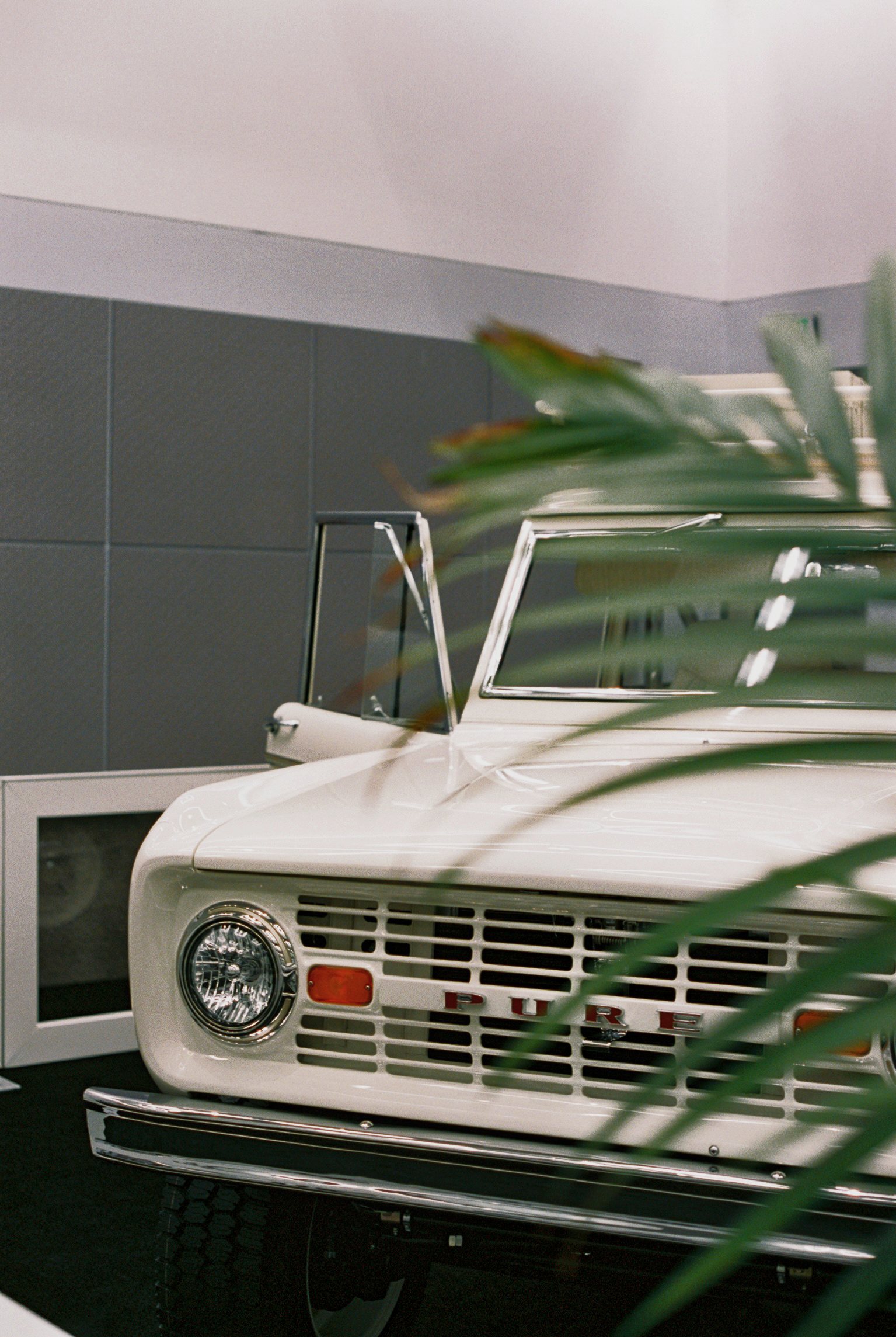 Bronco